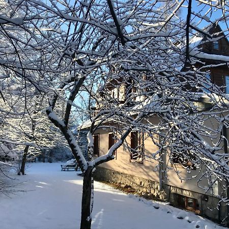 Willa Topaz Zakopane Dış mekan fotoğraf